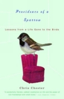 Providence of a Sparrow : Lessons from a Life Gone to the Birds артикул 10930c.